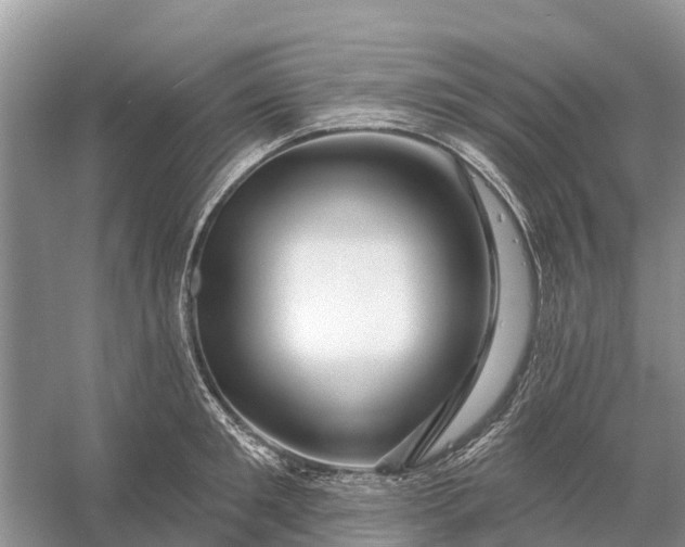 X0000058140901200510072028