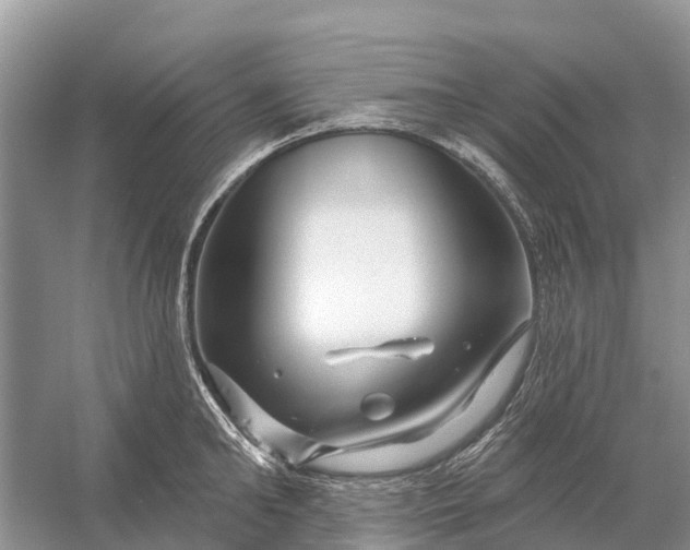 X0000058140902200510072028