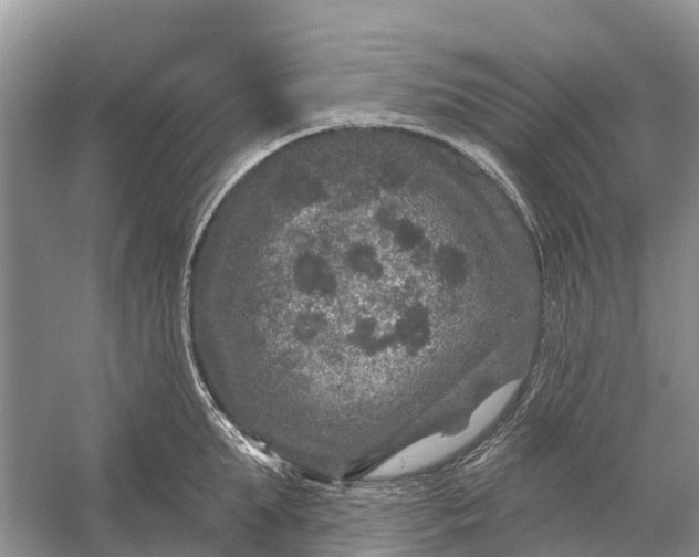 X0000058140903200510072028