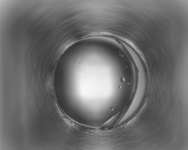 X0000058140905200510072028