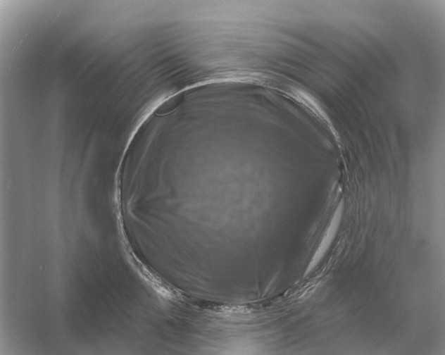 X0000058140907200510072028