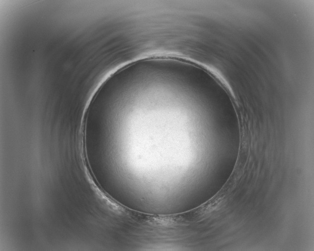 X0000058140911200510072028