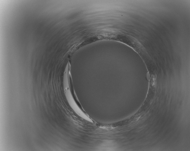 X0000058140915200510072027