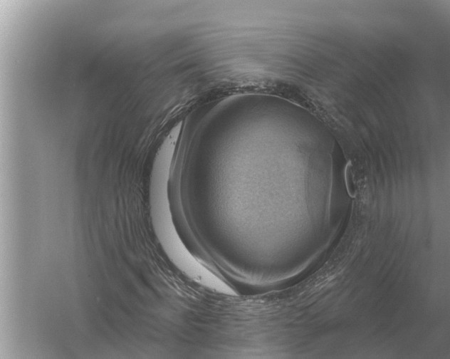 X0000058140916200510072027