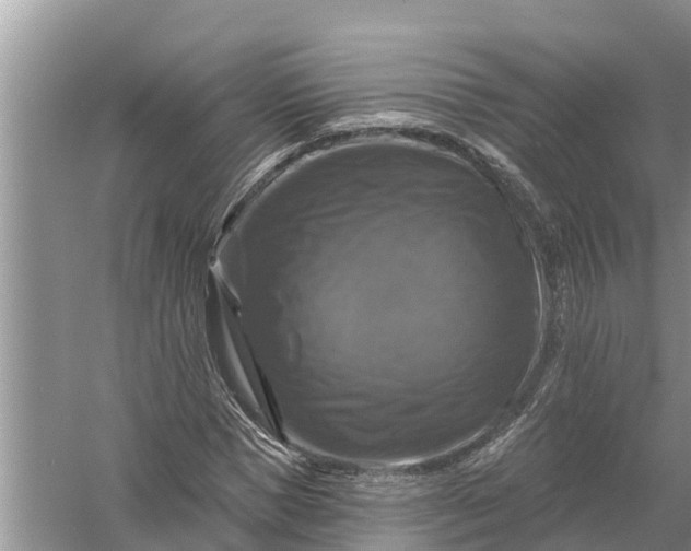 X0000058140921200510072027