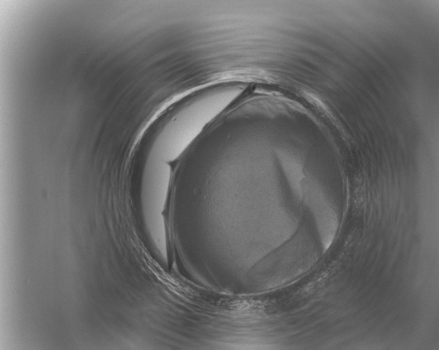 X0000058140923200510072027