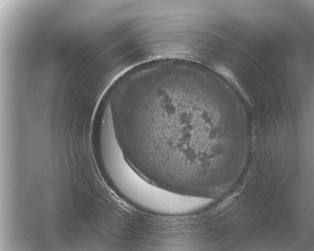 X0000058140924200510072027