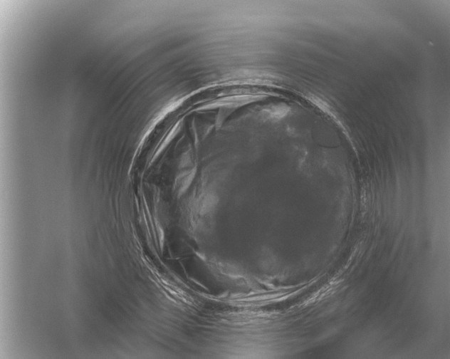 X0000058140925200510072027