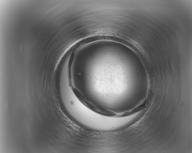 X0000058140926200510072027