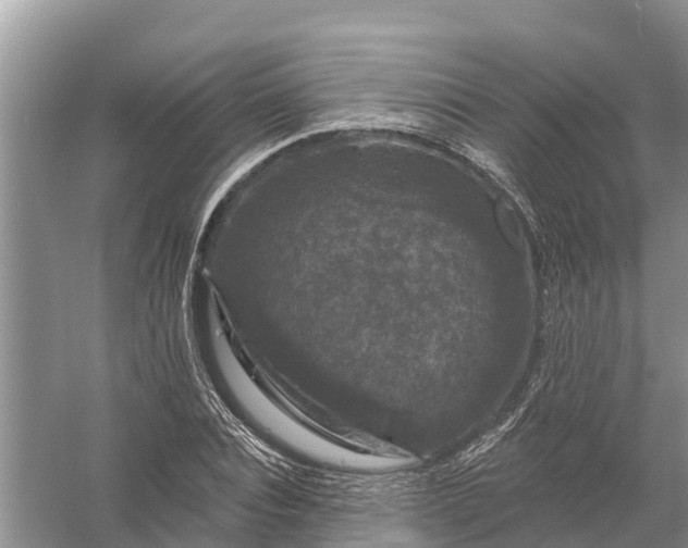 X0000058140928200510072027