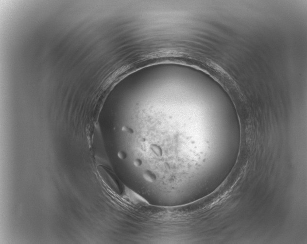 X0000058140929200510072027