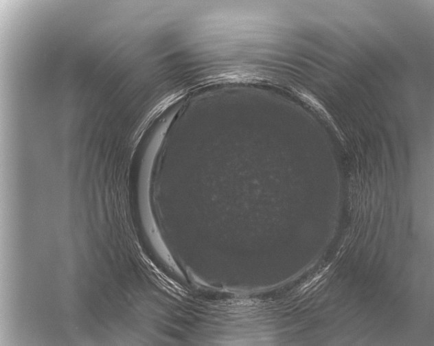 X0000058140930200510072027