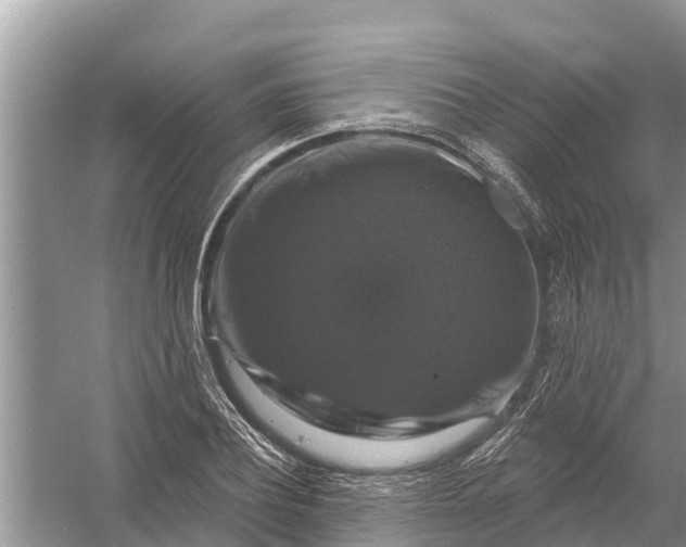 X0000058140932200510072027