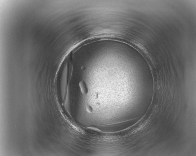 X0000058140933200510072027