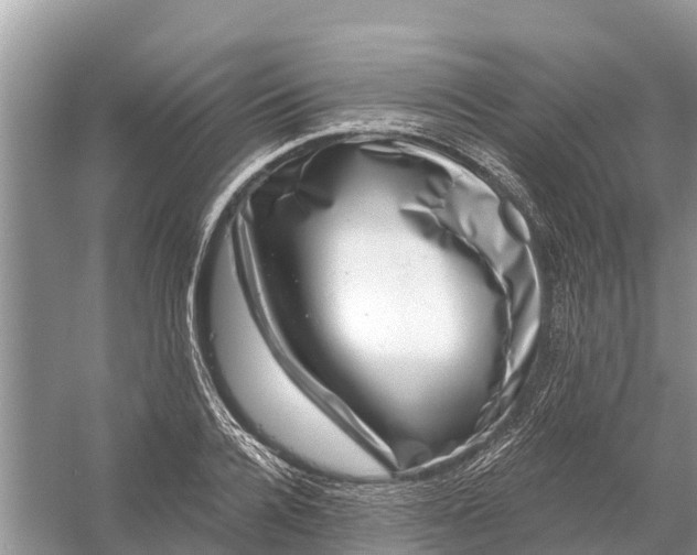 X0000058140936200510072027