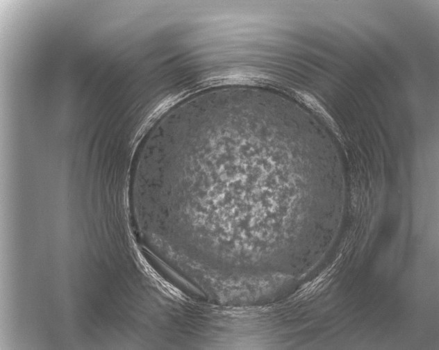 X0000058140938200510072028