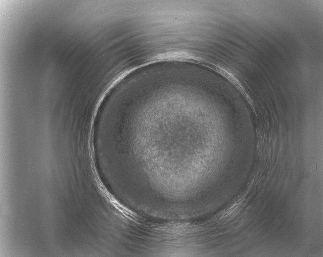 X0000058140939200510072028