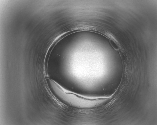 X0000058140940200510072028