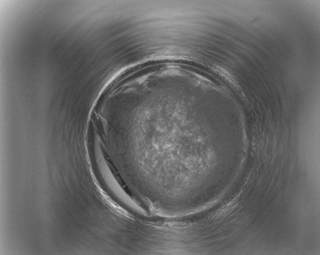 X0000058140942200510072028