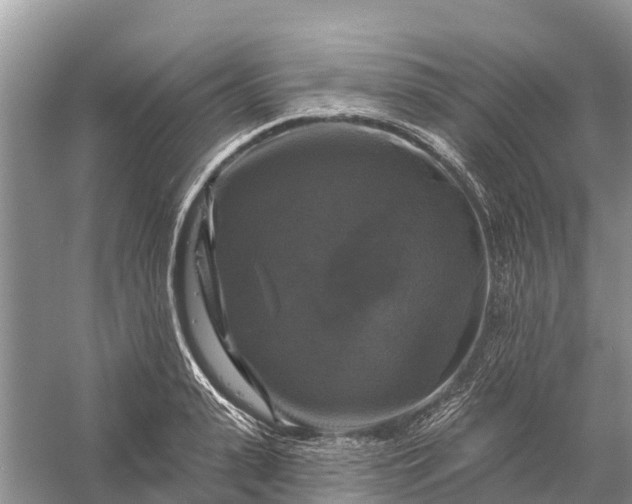 X0000058140943200510072028