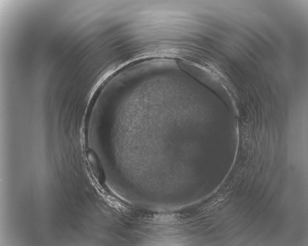 X0000058140944200510072028