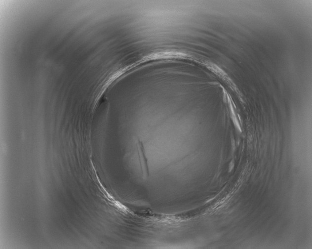 X0000058140945200510072028