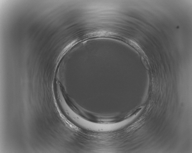 X0000058140946200510072028