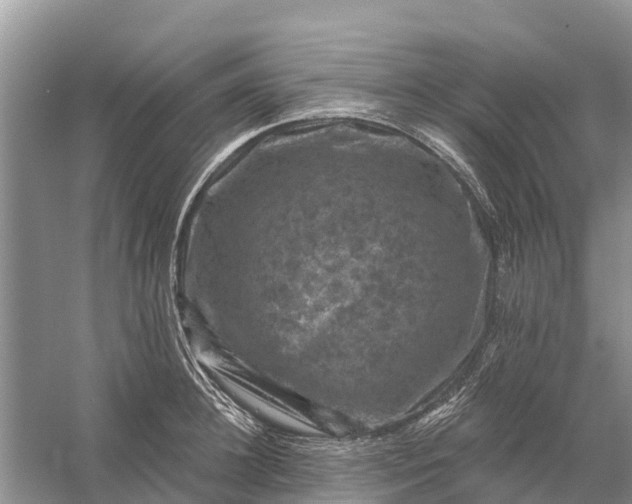 X0000058140948200510072028