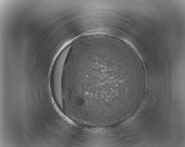 X0000058140949200510072028