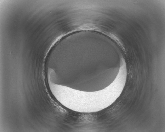 X0000058140950200510072028