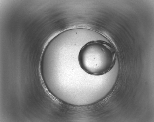 X0000058140952200510072028