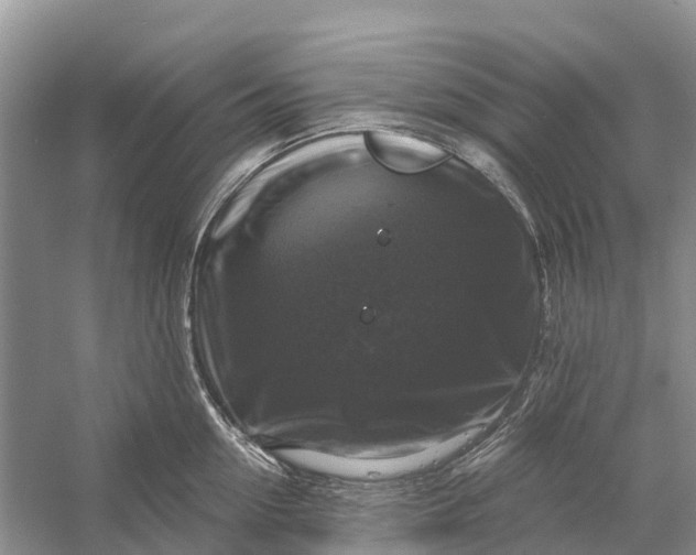 X0000058140954200510072028