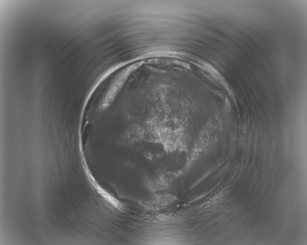 X0000058140955200510072028