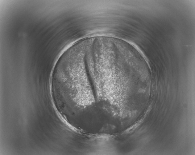 X0000058140957200510072028