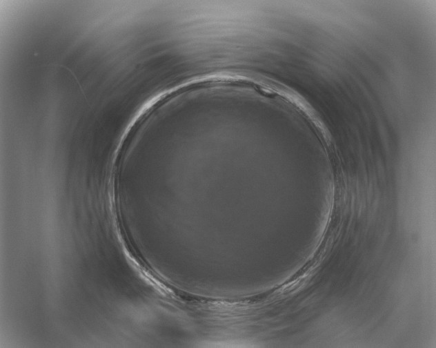 X0000058140958200510072028