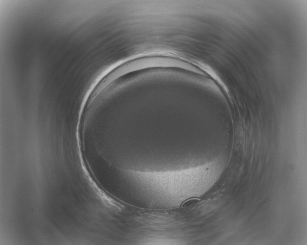 X0000058140959200510072028