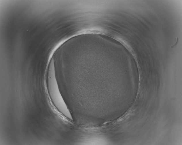 X0000058140960200510072028