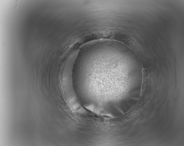 X0000058140961200510072027