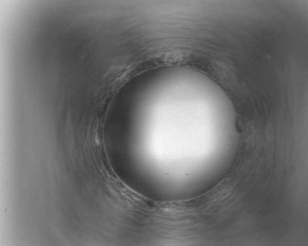 X0000058140962200510072027