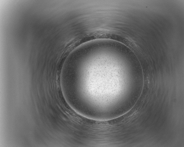 X0000058140964200510072027