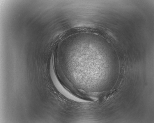 X0000058140965200510072027