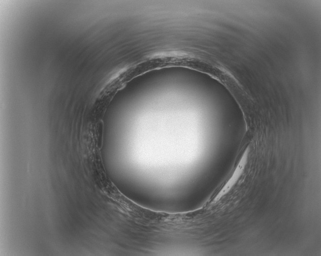 X0000058140967200510072027