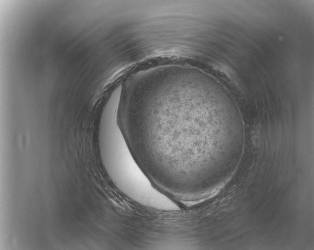 X0000058140968200510072027