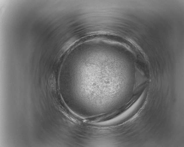 X0000058140969200510072027