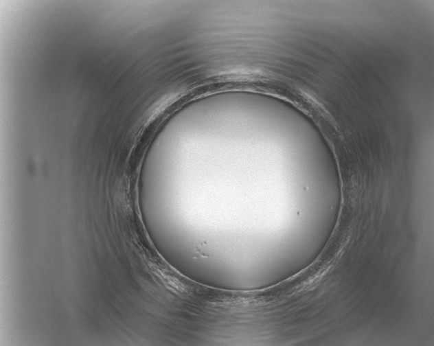 X0000058140970200510072027