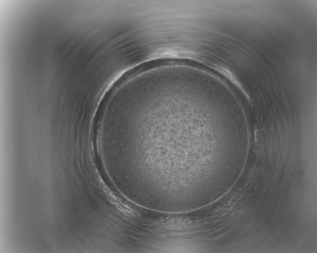 X0000058140972200510072027