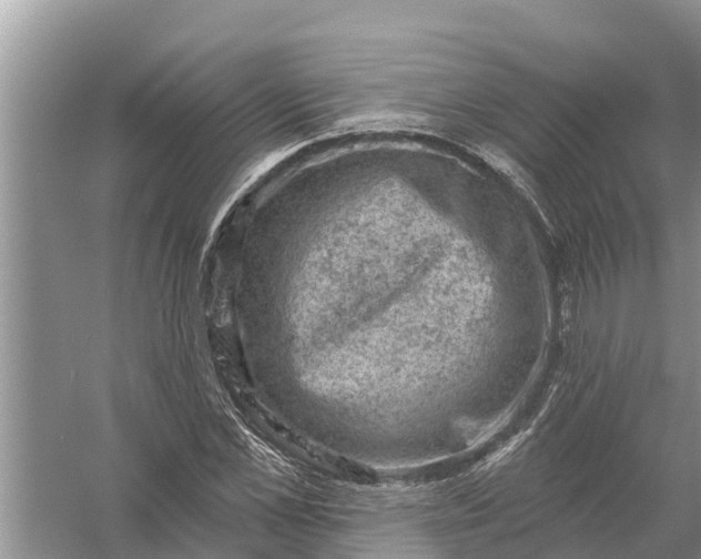 X0000058140973200510072027