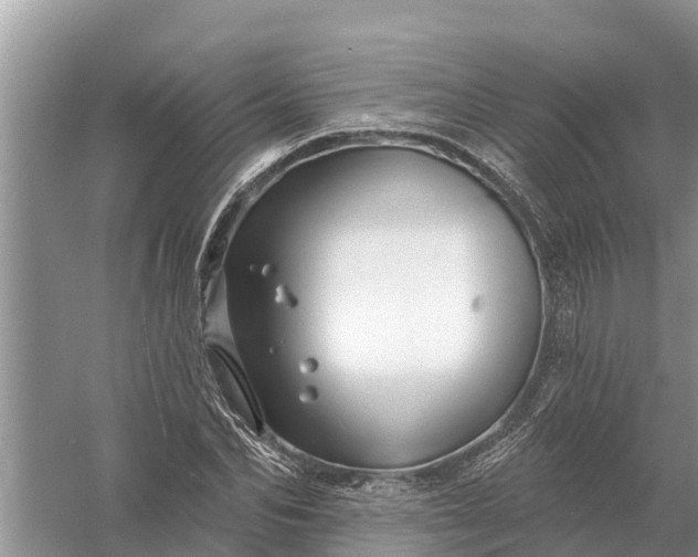 X0000058140974200510072027