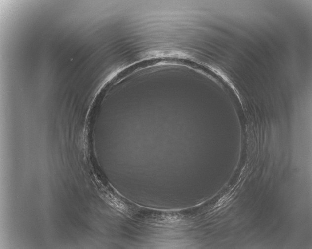 X0000058140975200510072027