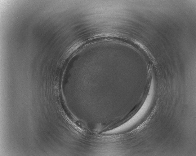 X0000058140977200510072027